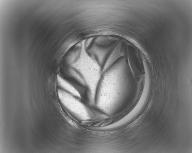 X0000060771289200512011602