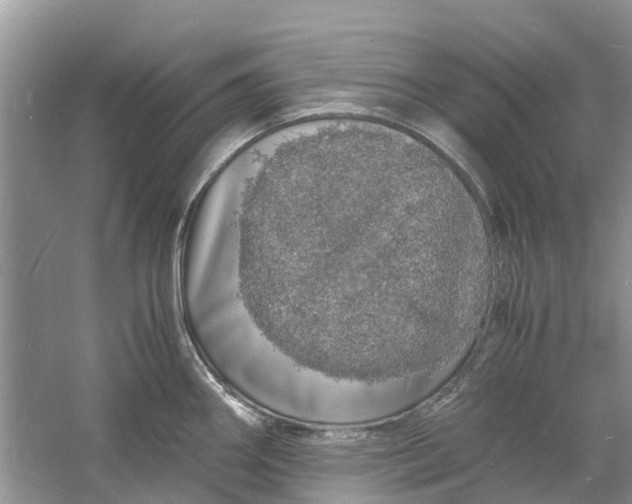 X0000060771290200512011602