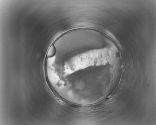 X0000060771291200512011602