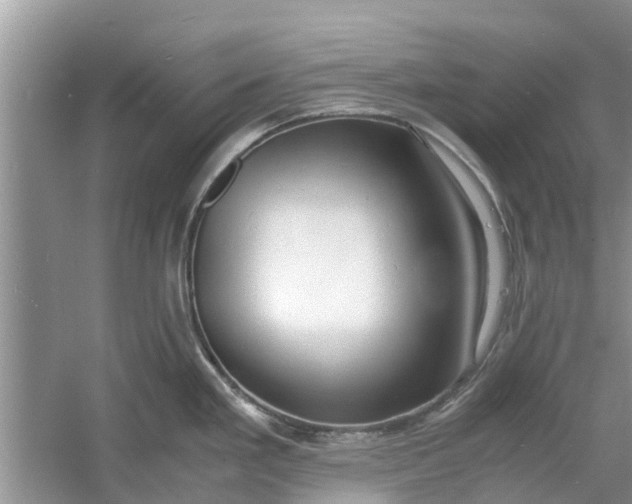 X0000060771293200512011602