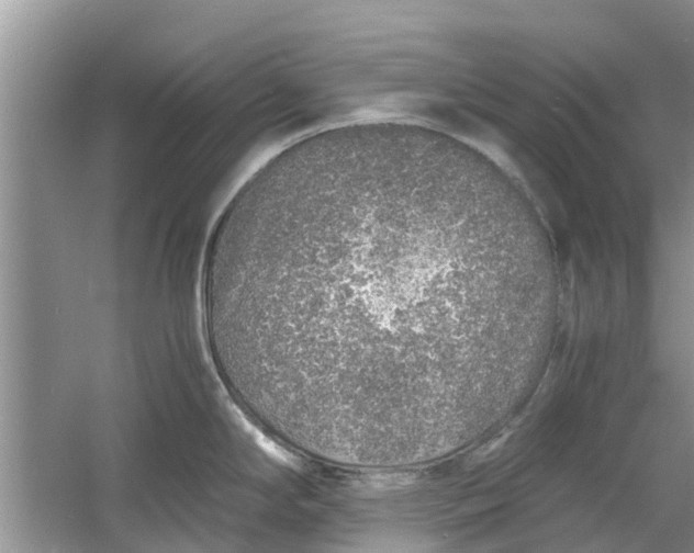 X0000060771294200512011601