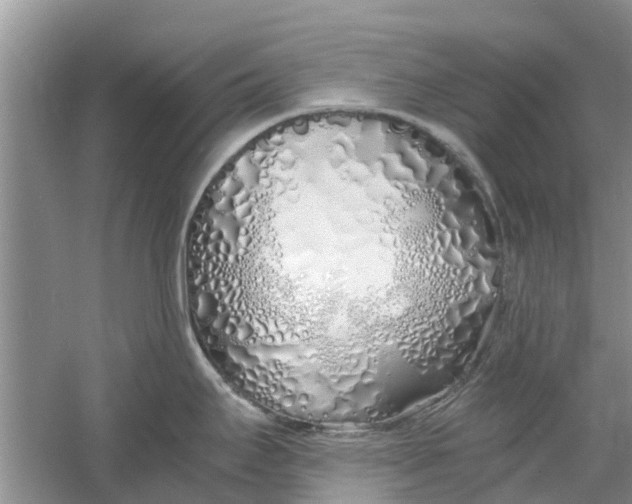 X0000060771295200512011601