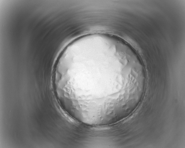 X0000060771296200512011601