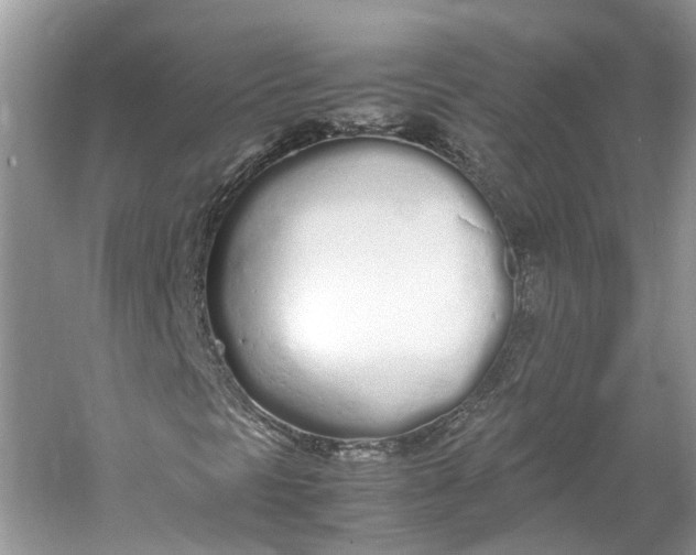 X0000060771297200512011601