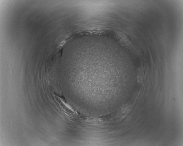 X0000060771298200512011601