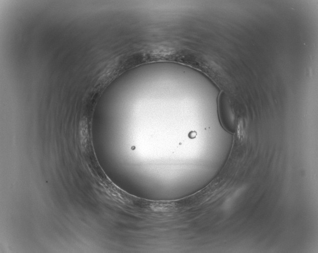 X0000060771299200512011601