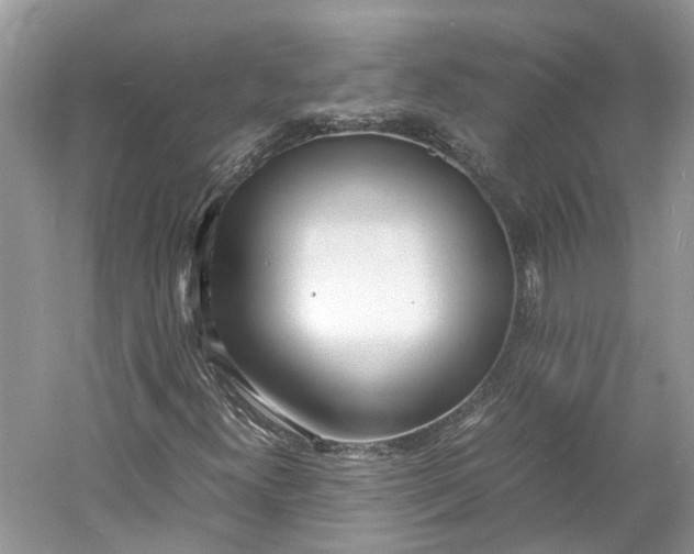 X0000060771300200512011601