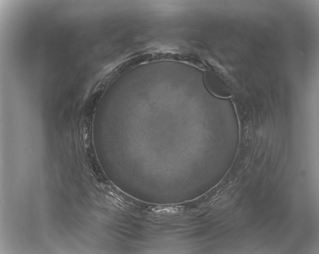 X0000060771303200512011601