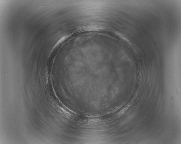 X0000060771306200512011601