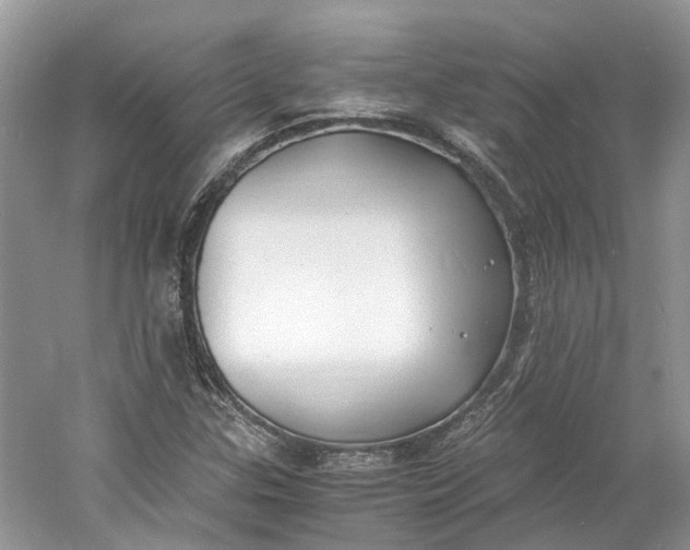 X0000060771307200512011601