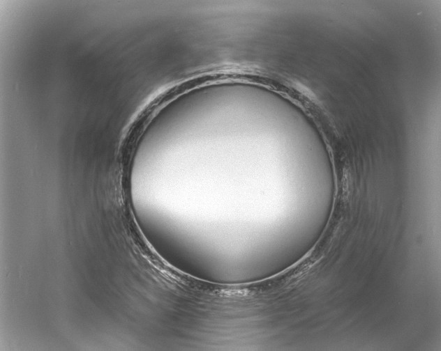 X0000060771310200512011601