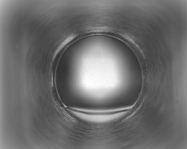 X0000060771317200512011601