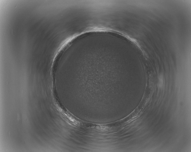 X0000060771319200512011601