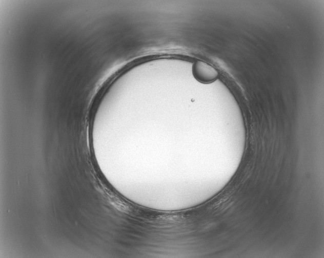 X0000060771320200512011601