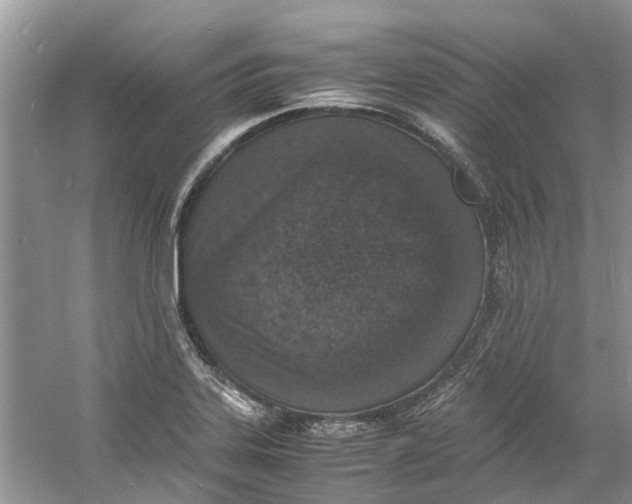 X0000060771323200512011601