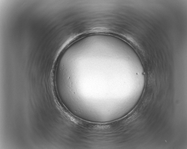 X0000060771325200512011601