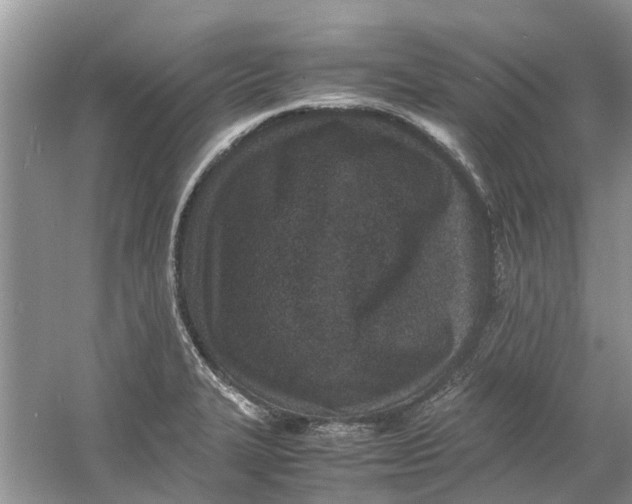 X0000060771327200512011601