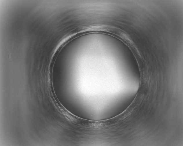 X0000060771328200512011601