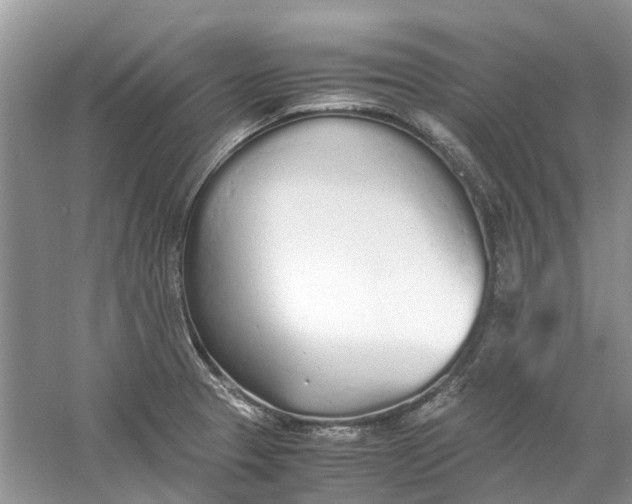 X0000060771329200512011601