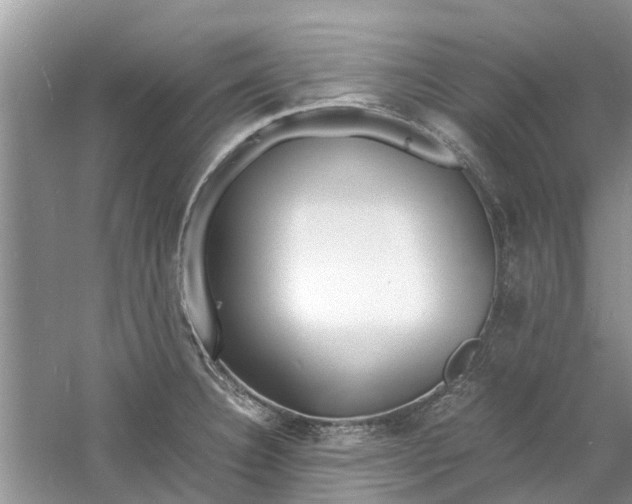 X0000060771332200512011601