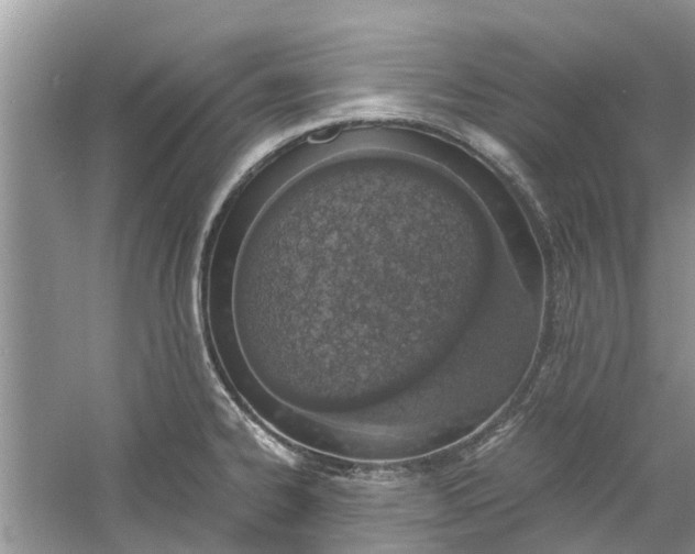 X0000060771334200512011601