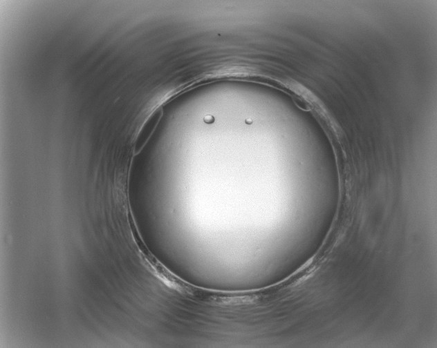 X0000060771337200512011601