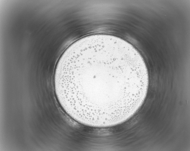 X0000060771338200512011601