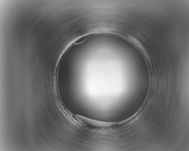 X0000060771340200512011601