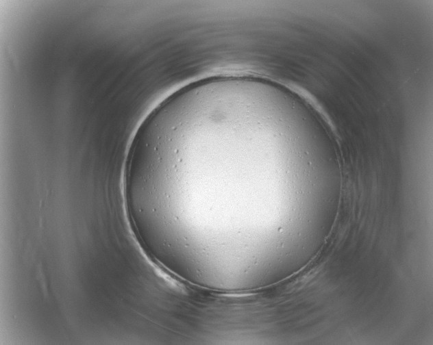 X0000060771343200512011601