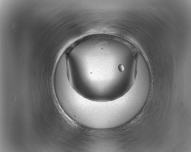 X0000060771344200512011601