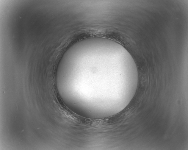 X0000060771345200512011601