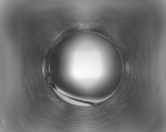 X0000060771348200512011601