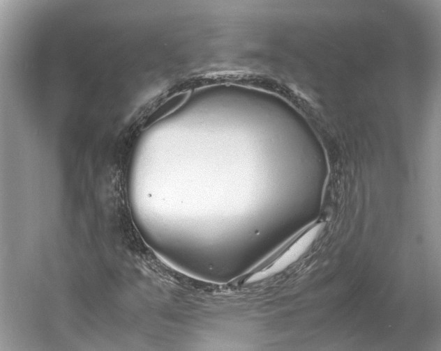 X0000060771351200512011600