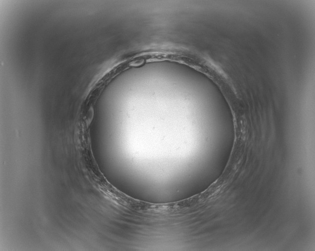 X0000060771352200512011600