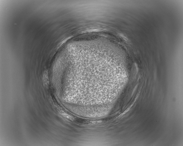 X0000060771353200512011600