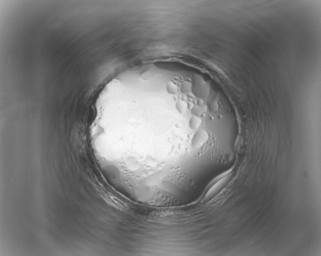 X0000060771355200512011600