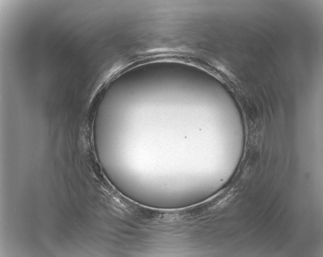 X0000060771357200512011600