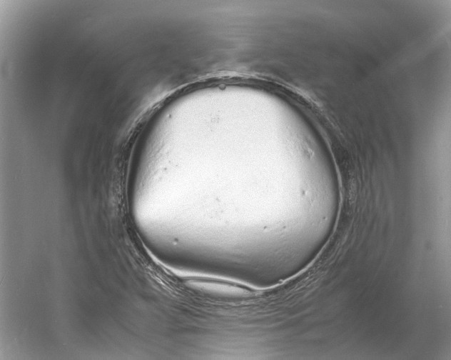 X0000060771359200512011600