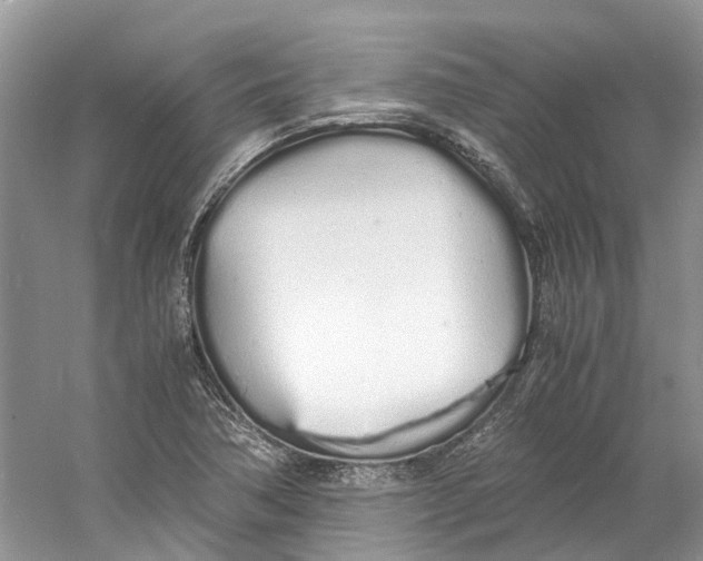 X0000060771362200512011600