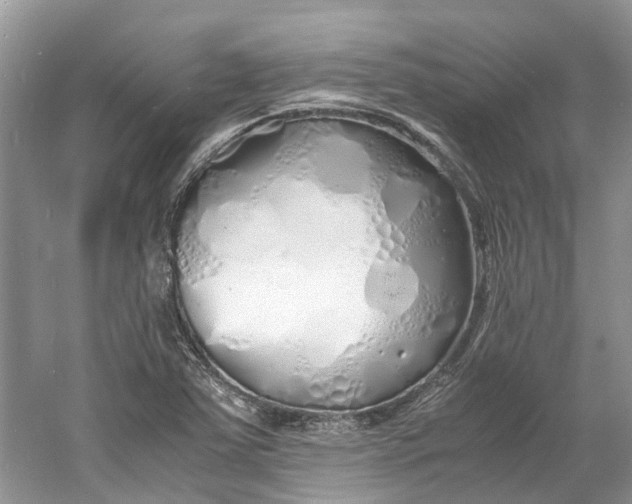 X0000060771363200512011600