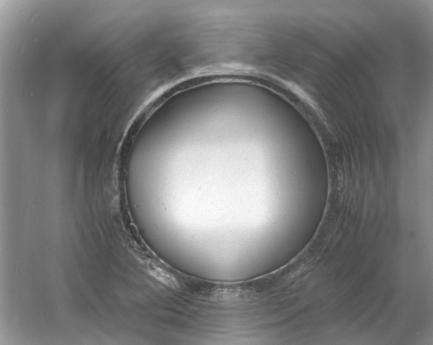 X0000060771364200512011600