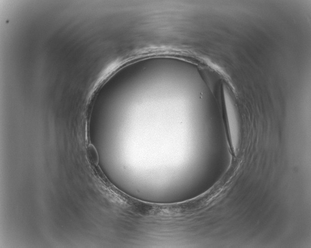 X0000060771365200512011600