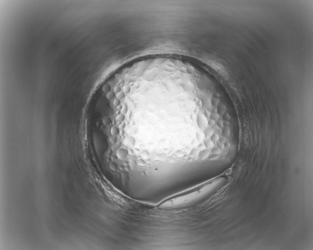 X0000060771366200512011600