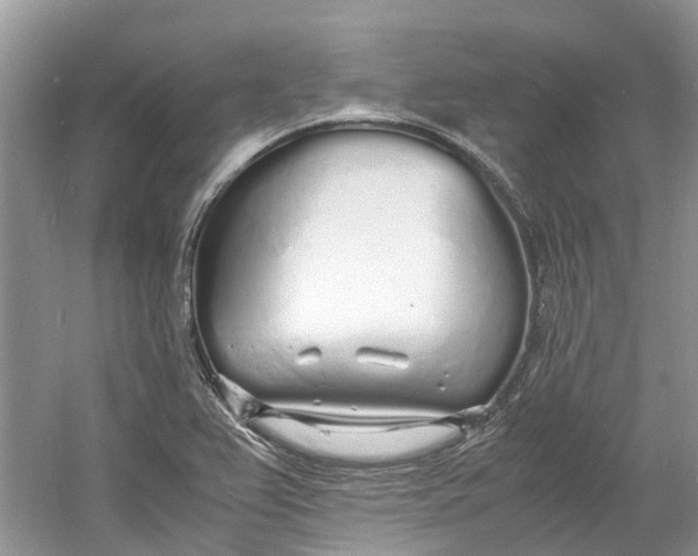 X0000060771367200512011600