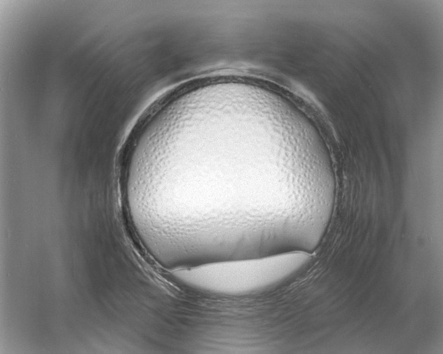 X0000060771368200512011600