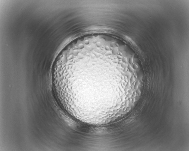 X0000060771370200512011600