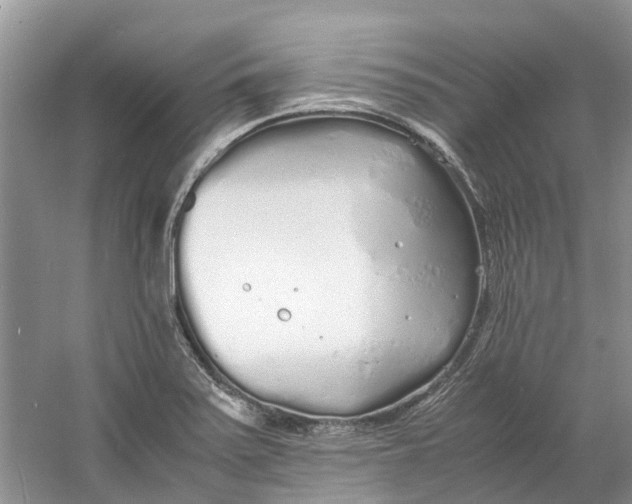 X0000060771371200512011600