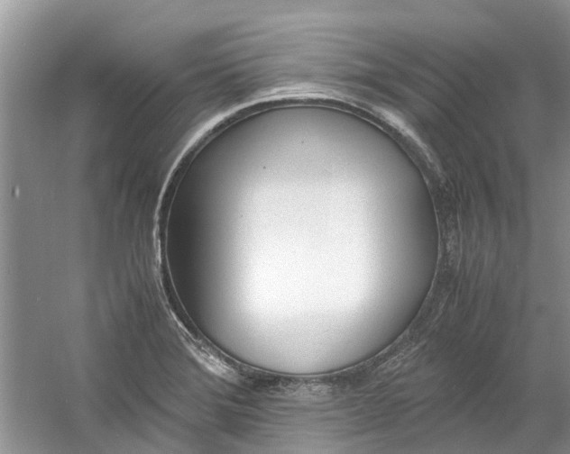 X0000060771372200512011600