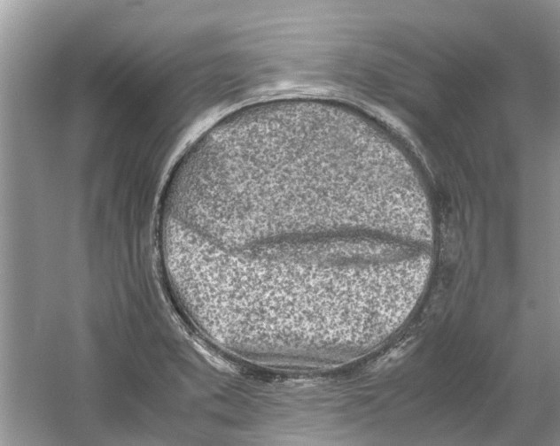 X0000060771373200512011600