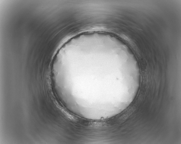 X0000060771374200512011600